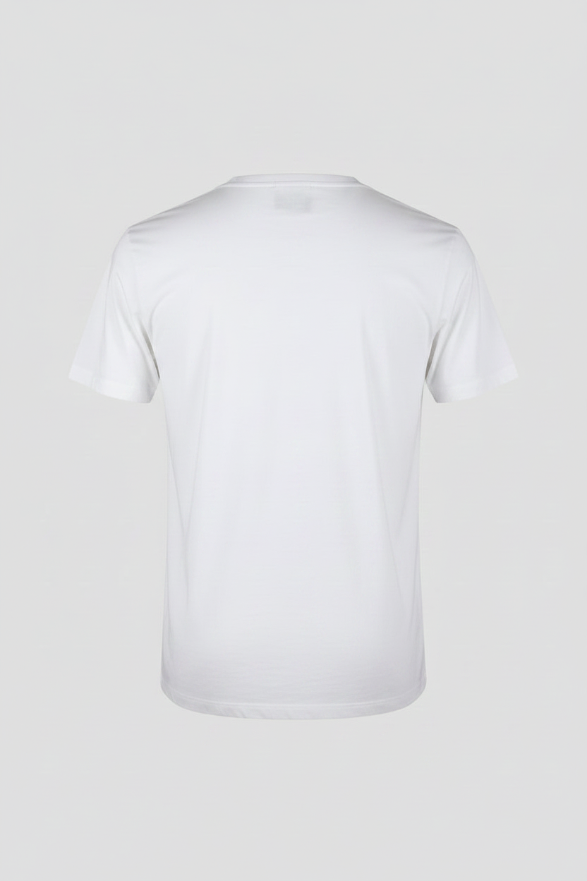 Polo Ralph Lauren Classic Fit V-Neck T-Shirt